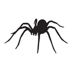 Halloween Spider Icon