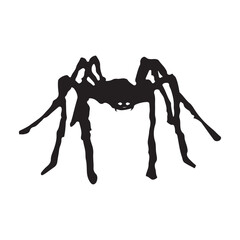Halloween Spider Icon