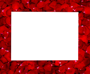 Red rose petals forming frame with transparent background