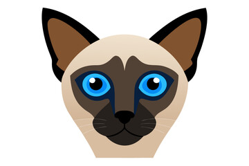A close-up portrait of a Siamese cat with blue eyes