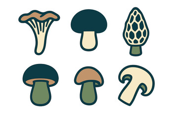 Diverse collection of edible and wild mushrooms such as chanterelle, morel, and common button mushrooms, ideal for nature and food-related themes