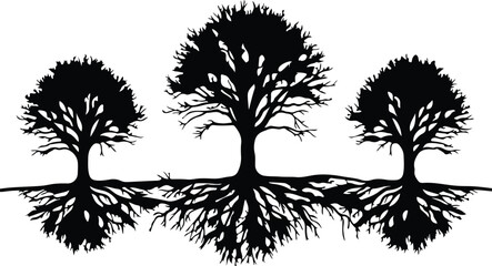 Obraz premium Vector Three black trees with roots silhouette Illustrator