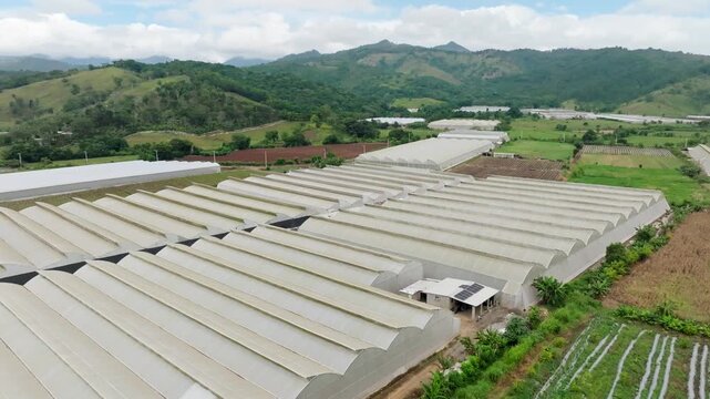 Aerial shot of Vegetable greenhouse in Ranco Arriba, Ocoa, Dominican Republic