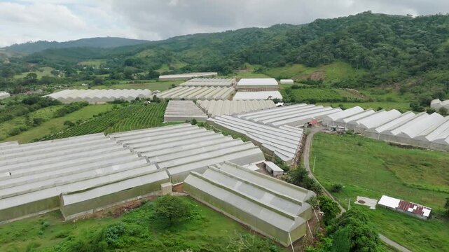 Aerial view of Vegetable greenhouse in Ranco Arriba, Ocoa, Dominican Republic