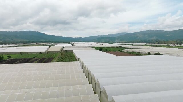 Farming greenhouse in Ranco Arriba, Ocoa, Dominican Republic