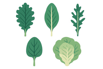 Diverse collection of fresh green leafy vegetables and culinary herbs for healthy eating, cooking, and nutrition