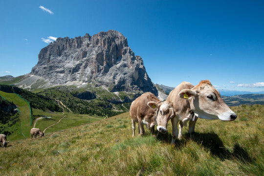 Val di Fassa and Val Gardena, Selva di Fassa and Moena, tourist destinations in the Dolomites, Trentino Alto Adige