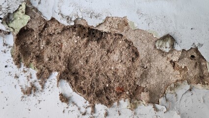 Damaged wall reveals layers of plaster and brick in an old house, showing signs of decay and structural problems, creating a textured and weathered surface.