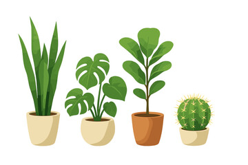 Assortment of green potted houseplants including snake plant, monstera, fiddle leaf fig, and cactus for modern interior decoration