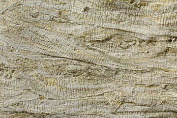 Fototapeta premium とろろ昆布