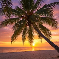 Sunset palm beach scene