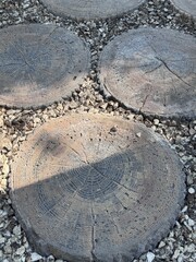 stone path in the park