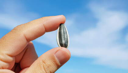 青空でひまわりの種を摘む手のアップ