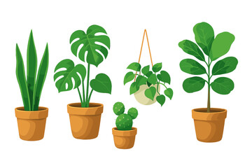 Collection of various popular indoor houseplants in terracotta pots and a hanging planter on a clean white background