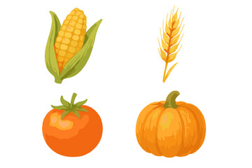 Colorful autumn harvest vegetables and grains set featuring corn, wheat, tomato, and pumpkin on white background
