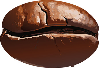 Digital coffee bean illustration with central groove, promoting food literacy and creative learning
