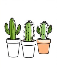 Three potted cacti in various shades of green and light orange