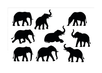 Silhouette collection of elephants in various poses on white background