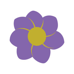 Anemone flower botanical vector art illustration