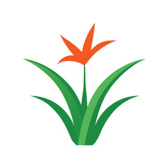 Arbutus tree botanical vector art illustration