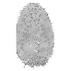 Abstract geometric design with vibrant color palette and clean typography