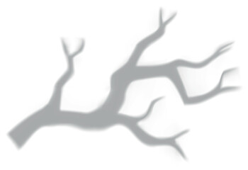 Gray blurred shadow of tree branch without leaves, overlay effect.