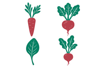 Stylized organic produce designs featuring carrots, radishes, and green leaves for healthy lifestyle concepts