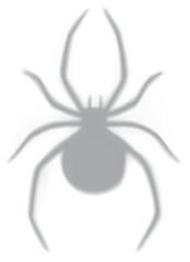 Spider vector icon, cartoon scary gray shadow of insect, wildlife fauna, Halloween decoration, horror and gothic symbol