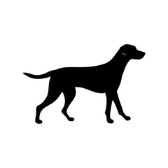 Black silhouette of a dog walking on a white background scene