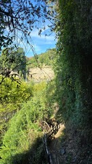 Stunning view of Saltos del Nilahue waterfall in southern Chile, surrounded by rugged rocks and lush green nature, a powerful natural wonder.