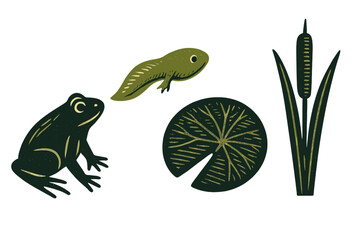 Green frog, young tadpole, water lily pad, and cattail plant pond elements