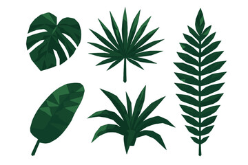 Assortment of dark green tropical leaves in a low poly geometric style, featuring various shapes and textures, isolated on a white background