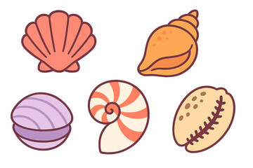 Assortment of various colorful marine seashells and ocean mollusks found on sandy beaches and underwater environments