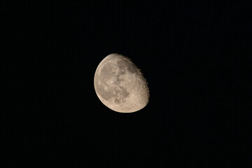 Waxing gibbous moon