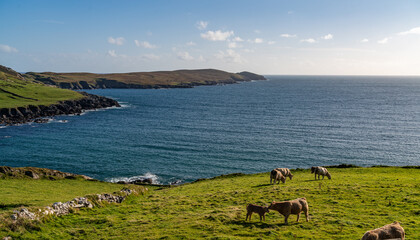 views around Mizen head and the Wild Atlantic Way, Ireland