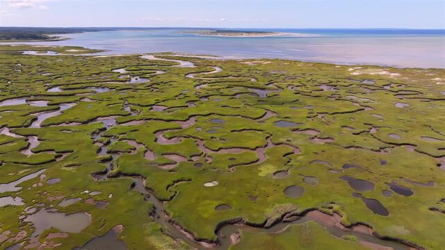 Aerial view of vivid green marshlands contrasting with winding dark water channels leading to Cape Cod Bay, under a clear blue sky. Gray's Beach, Yarmouth Port, Cape Cod, Massachusetts, USA.