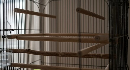 Intricate Birdcage Interior - Wooden Perches and Wire Mesh Detail.