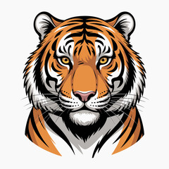 tiger head vector