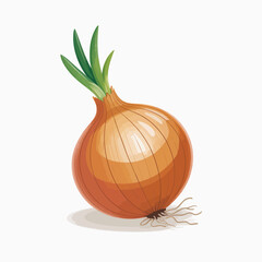 onion isolated on white