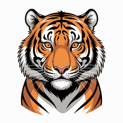 Fototapeta premium tiger vector illustration