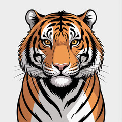 tiger vector illustration