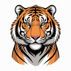 tiger vector illustration