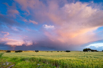 Fototapeta premium Tormenta y arcoíris en Extremadura