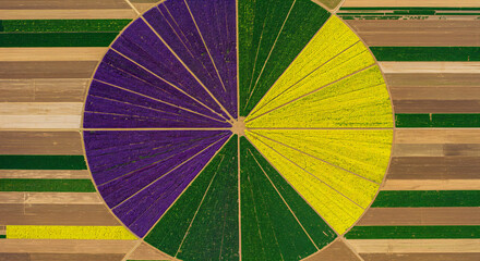 Aerial view showcases geometric agricultural fields with colorful segmented crops.