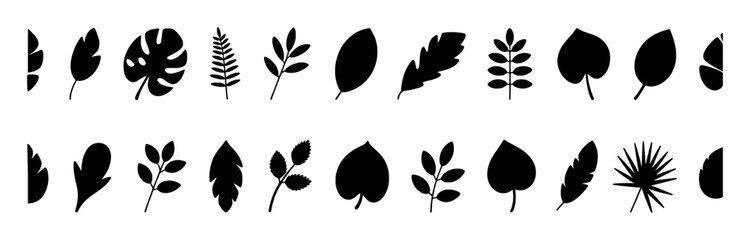 Collection of Black Silhouette Leaves and Foliage Icons