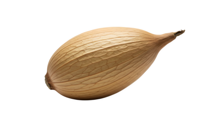 Beige textured allium skin displays linear patterns on black, suits food ingredient photography, video background or graphic design.