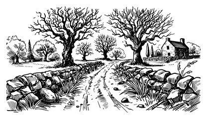 Rustic country lane lined with stone walls and bare oak trees leading to old farmhouse – vintage engraving rural landscape illustration
