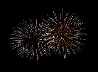 Colorful firework sparkling on black background for celebration and anniversary