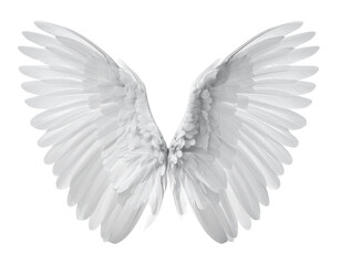 Obraz premium Angelic Wings Artwork PNG Transparent Background