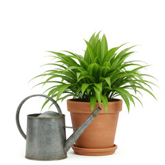 green watering can